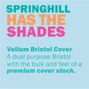 Springhill Paper, 8.5X11, Index, 250, Be Pk SGH025100